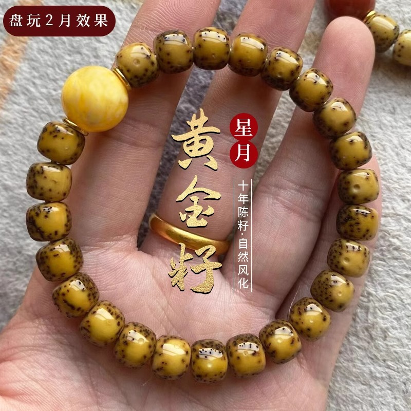 High Density Golden Seed Star  - đánh giá và giá Bracelet Beaded Men